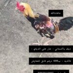 ديك باكستاني