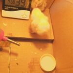 Chicks Healthy and active