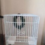 large Cage for sale