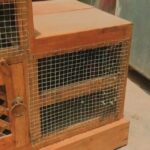 Bird Cage , step formation style for sale