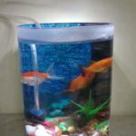 mini fish  tank