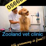 zoo land vet and pet grooming services