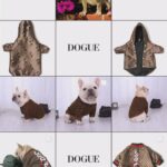 Dogs clothes and accessories.