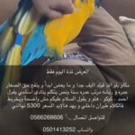 macaw blue and gold