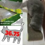 cat scratcher 36.75