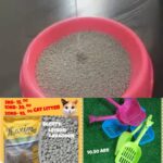 sand and bentonite cat litter