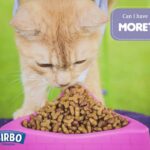 BIRBO Cat Dry Food
