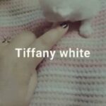 Tiffany white for reservations 1500