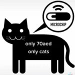 cat microchiping 70aed only