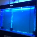 Cleair Aquatics Aquarium 5ft