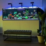 Marine Reef Tank 5 months old with installation  and maintenance guide for 6 months