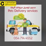 Pets delivery