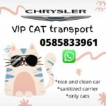 VIP CAT TRANSPORT FROM 250AED