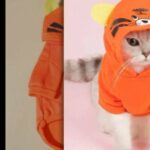 CAT CLOTHES FOR SALE