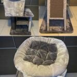 1 WEEK OLD CAT TREE - CATRY BRAND