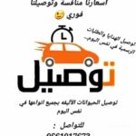 pets delivery to all UAE