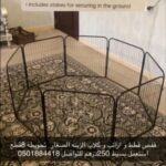 قفص قطط و ارانب و كلاب الزينه الصغار  تحويطه 8قطع استعمل بسيط 250درهم للتواصل 0501884418