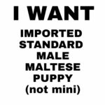 I want to buy a male maltese puppy