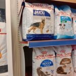 royal canin food