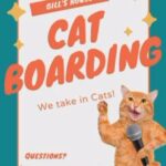 CAT SITTING/BOARDING