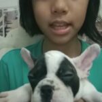 Pet parent testimonial - Karen Mae - UAE