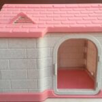 dog House