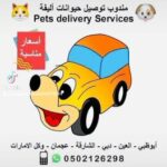 pet transport in Dubai