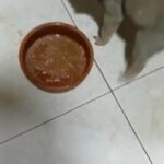 pug puppies male 2 months in Dubai
