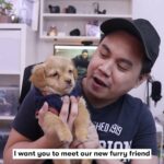 Pet Parent Testimonial - Gabriel Seth in Dubai