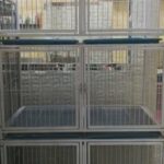 pet cage in Abu Dhabi