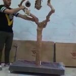 ستاند خشاب جافا اندنوسي كبير in Ajman