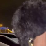 Toy Poodle in Abu Dhabi