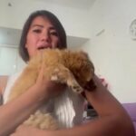 Pet Parent Testimonial - jhemm in Dubai