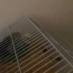أبوظبي_شارع الكترا_ in Abu Dhabi