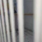 فروخ لوفبيرد للغر والتعليم in Abu Dhabi