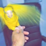 gold conure in Dubai