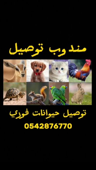 مندوب توصيل in Al Ain