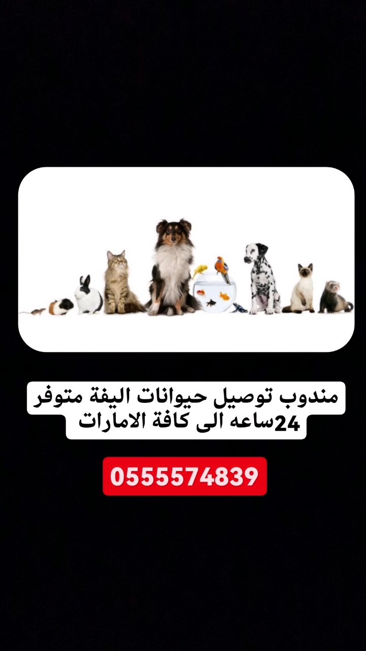 مندوب توصيل حيوانات اليفة متوفر 24ساعه الى كافة الامارات in Al Ain