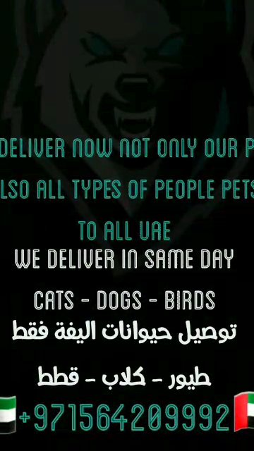 DELIVERY  FOR ALL PETS in Dubai