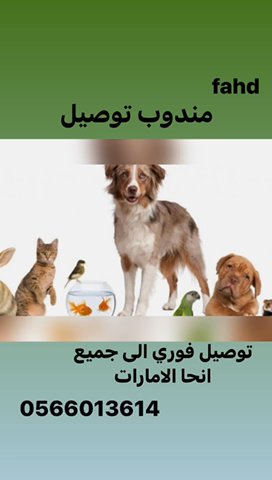 مندوب توصل حيوانات in Abu Dhabi