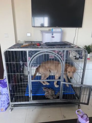 Huge Cage For Big Dogs in Dubai