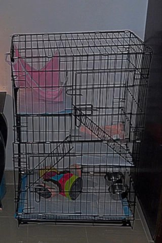 Ferret Cage With Accessories in Abu Dhabi