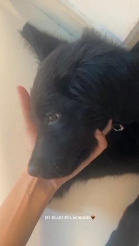 german blackjack female in Dubai