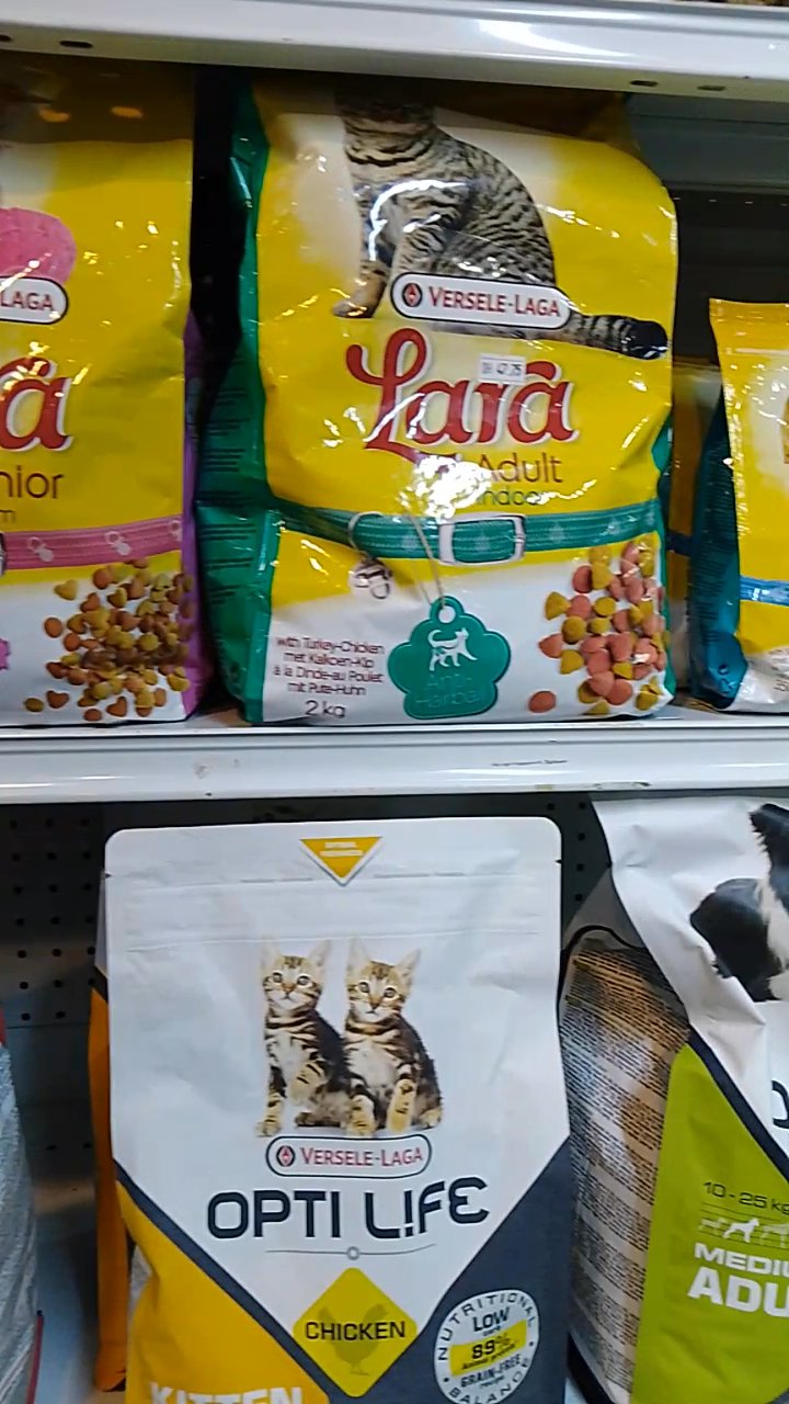 super premium cat food - Lara in Dubai