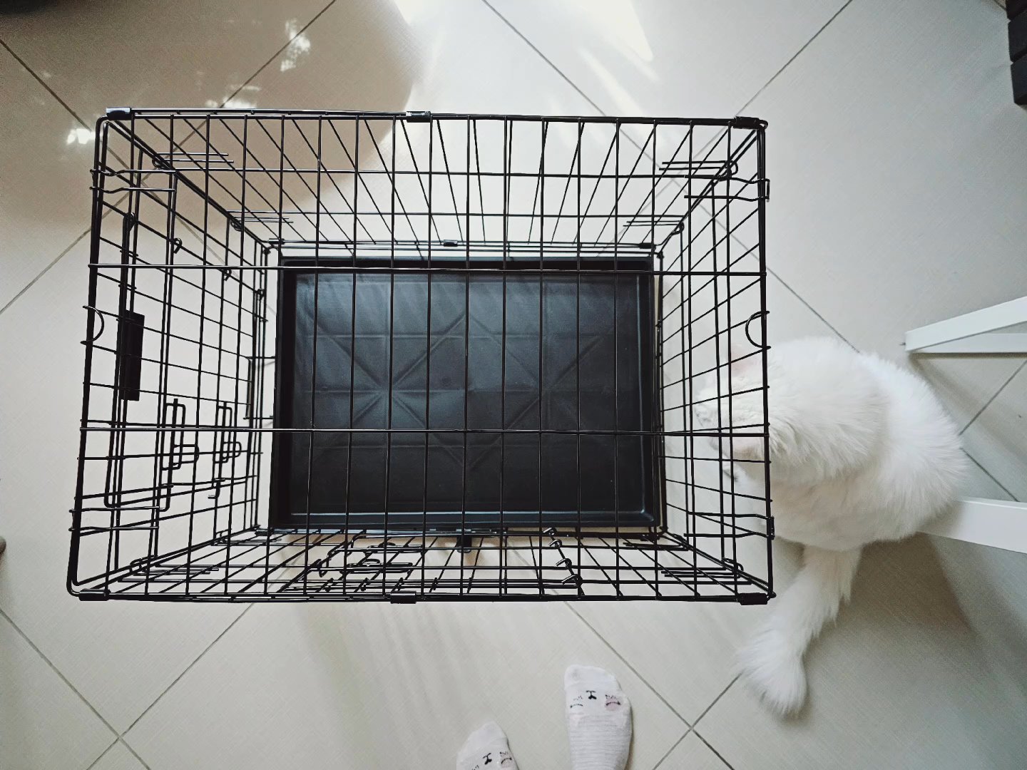 Brand new, foldable Pet cage 24 inches in Dubai