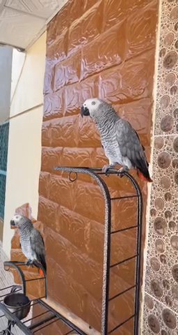 الفجيرة in Fujairah