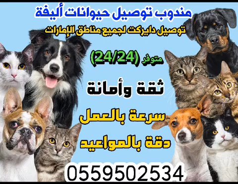 دبي in Dubai