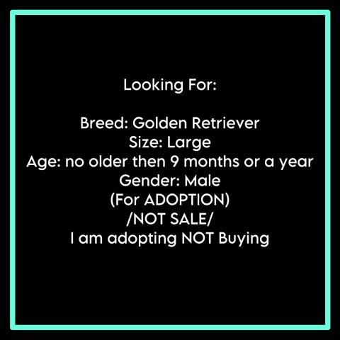 LOOKING FOR GOLDEN RETRIEVER FOR FREE in Sharjah