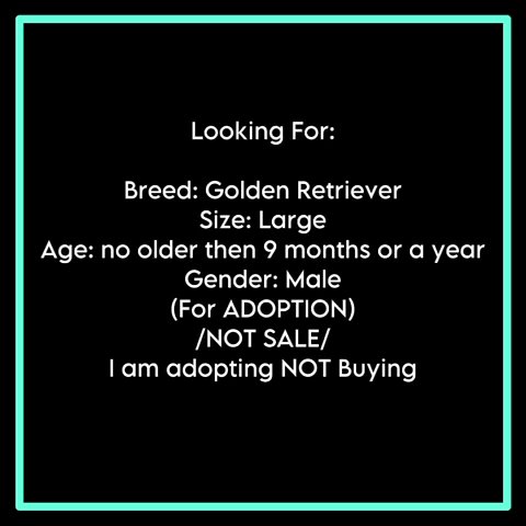 LOOKING FOR GOLDEN RETRIEVER FOR FREE in Sharjah