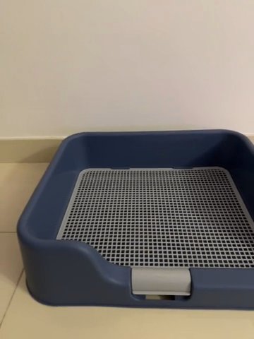 Dog Indoor Potty Tray For Sale in Dubai